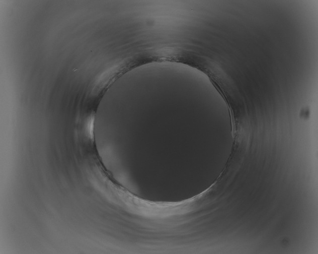 X0000111520047200907281349