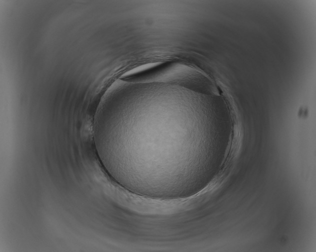 X0000111520048200907281349