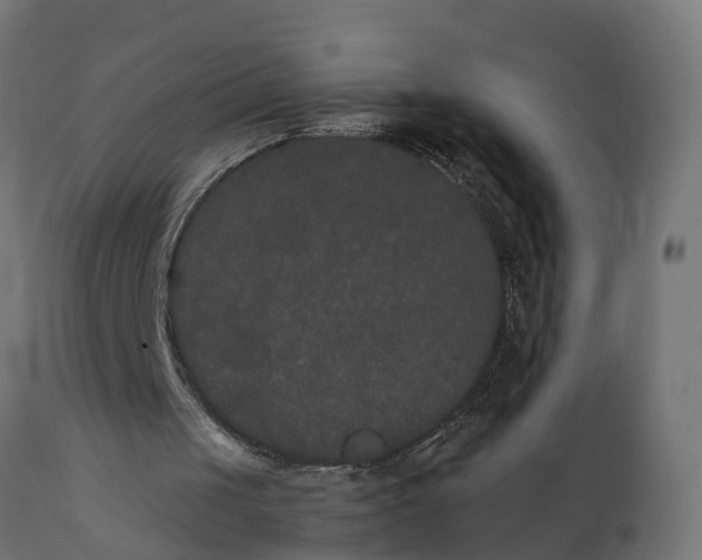 X0000111520049200907281348