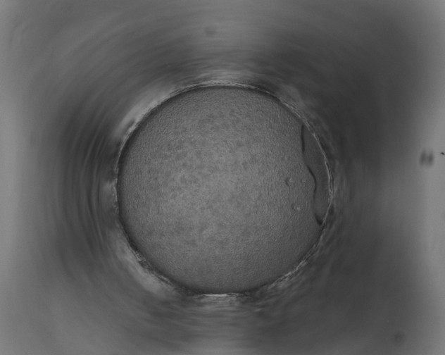 X0000111520050200907281348