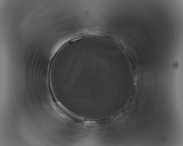X0000111520052200907281348