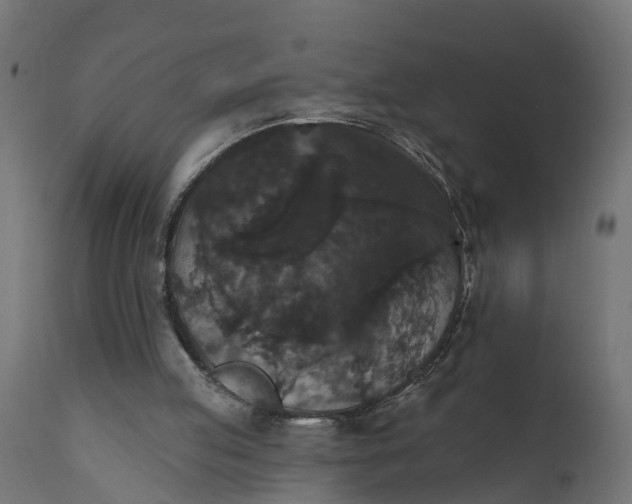 X0000111520053200907281348