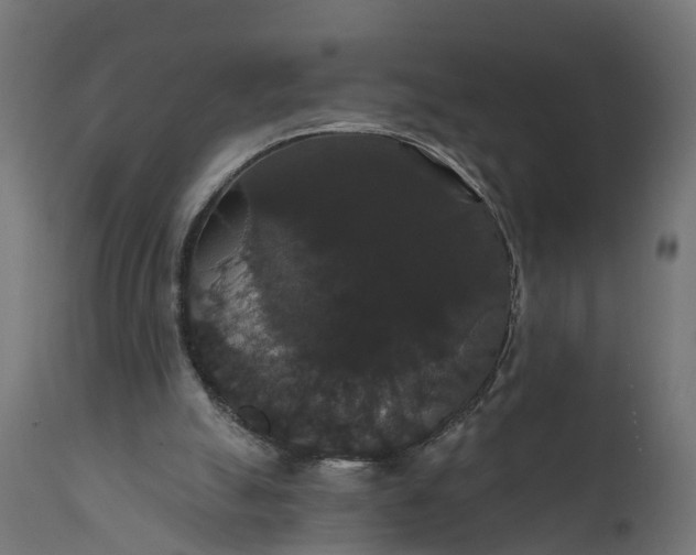 X0000111520055200907281348