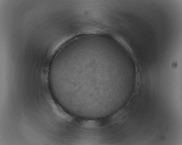 X0000111520058200907281348