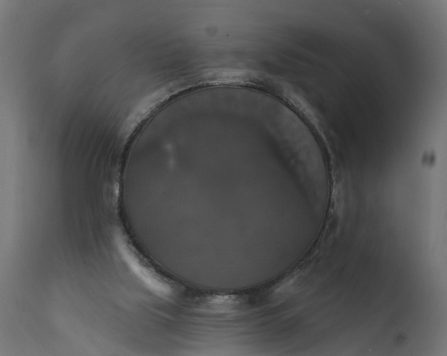 X0000111520059200907281348