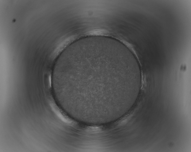 X0000111520061200907281348