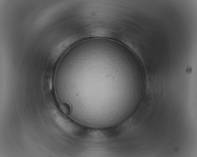 X0000111520062200907281348