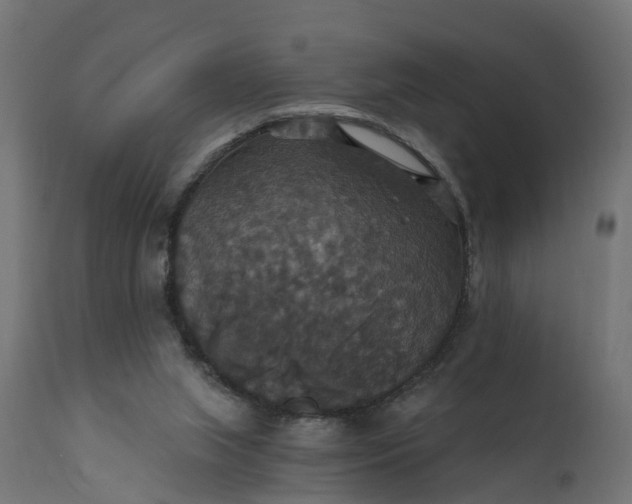 X0000111520063200907281348