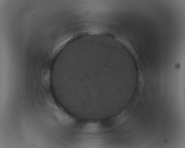 X0000111520066200907281349