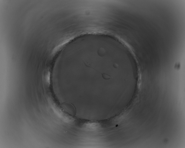 X0000111520067200907281349