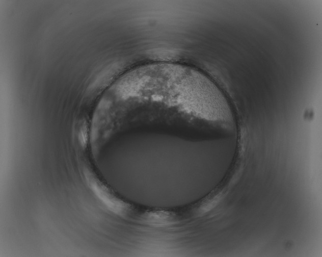 X0000111520069200907281349