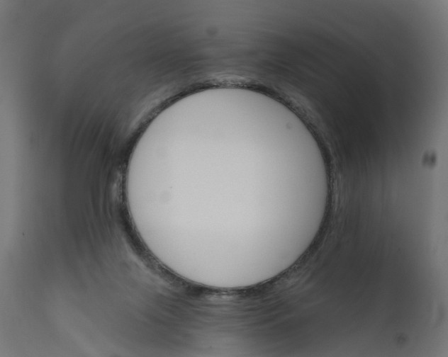X0000111520071200907281349