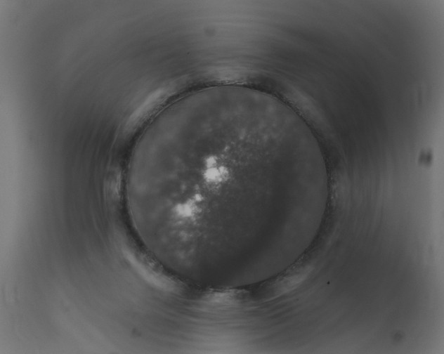X0000111520072200907281349