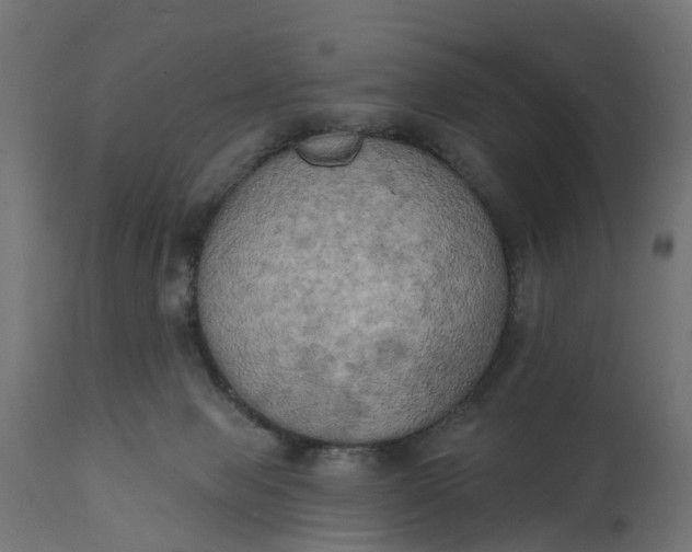 X0000111520077200907281349