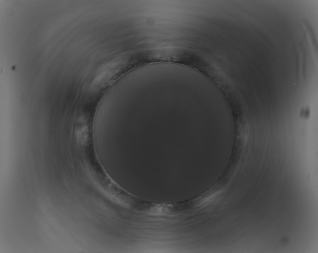 X0000111520080200907281349