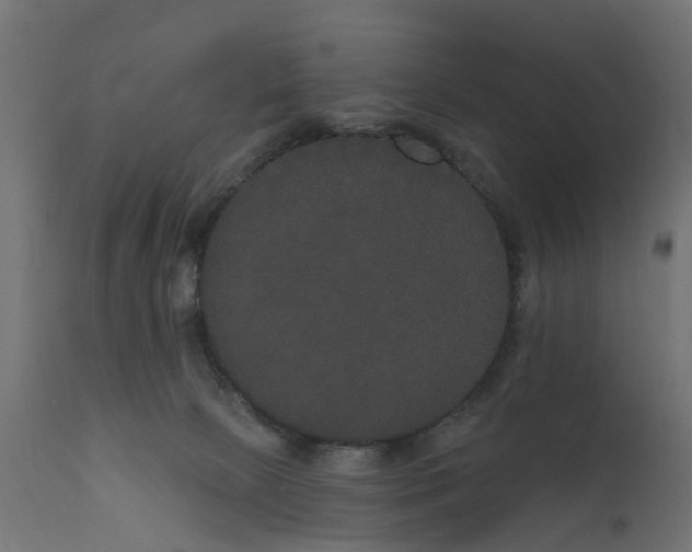 X0000111520081200907281349