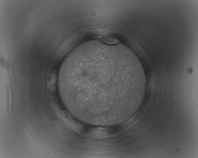 X0000111520082200907281349