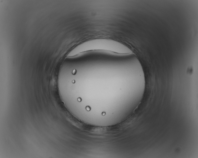 X0000111520084200907281349