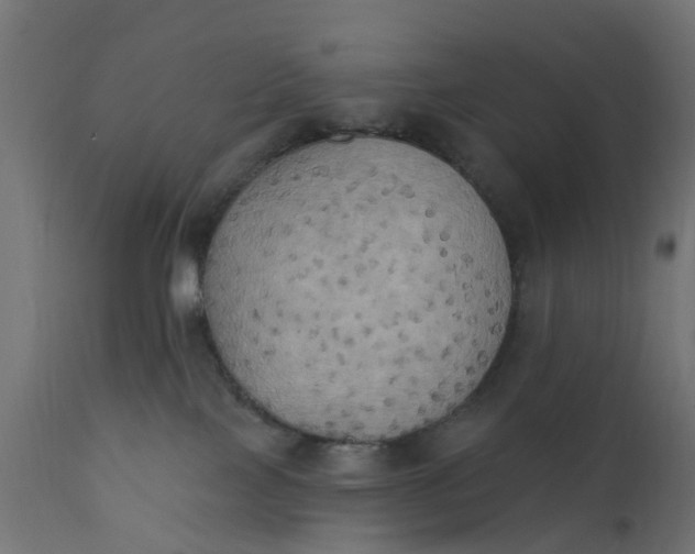 X0000111520089200907281349