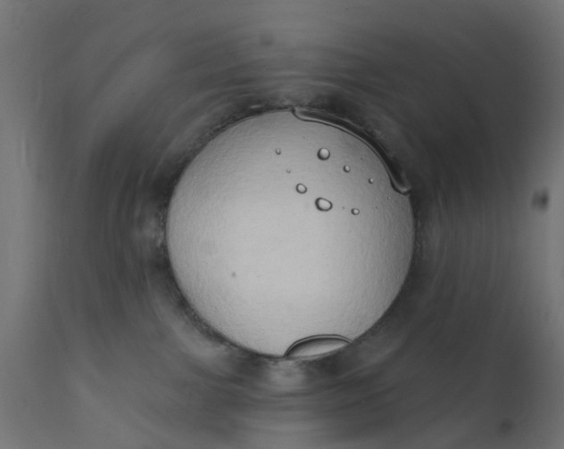 X0000111520091200907281349