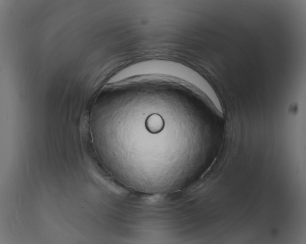 X0000111520092200907281349