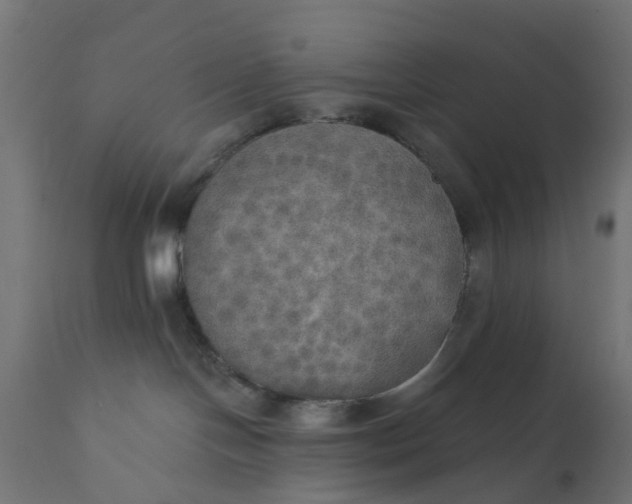 X0000111520094200907281349