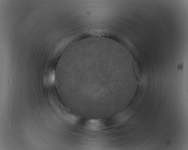 X0000111520095200907281349