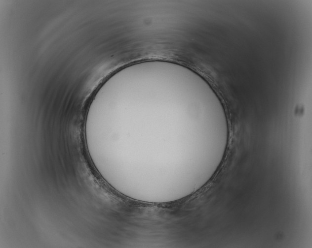 X0000111520098200907281348