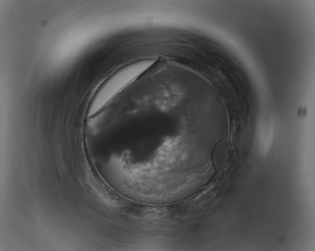 X0000111520099200907281348