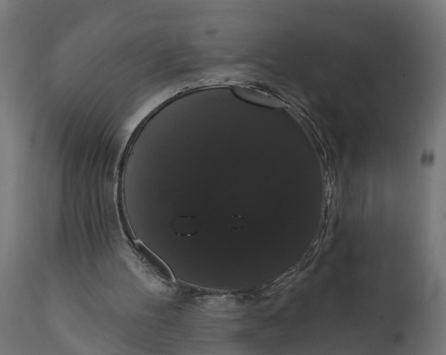 X0000111520100200907281348