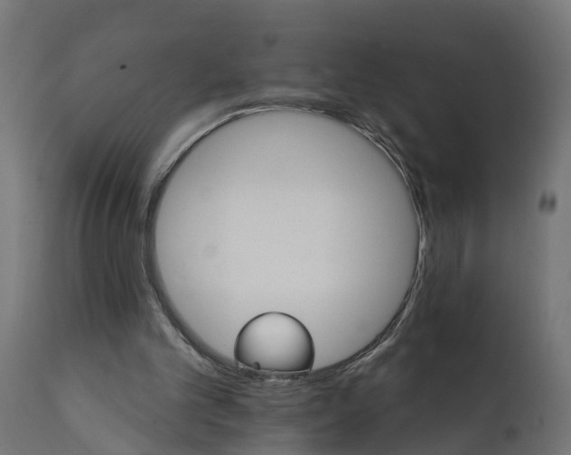 X0000111520101200907281348