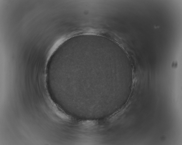 X0000111520102200907281348