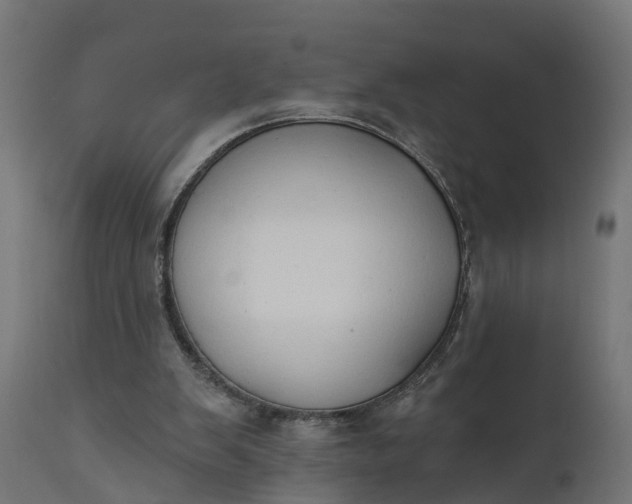 X0000111520103200907281348