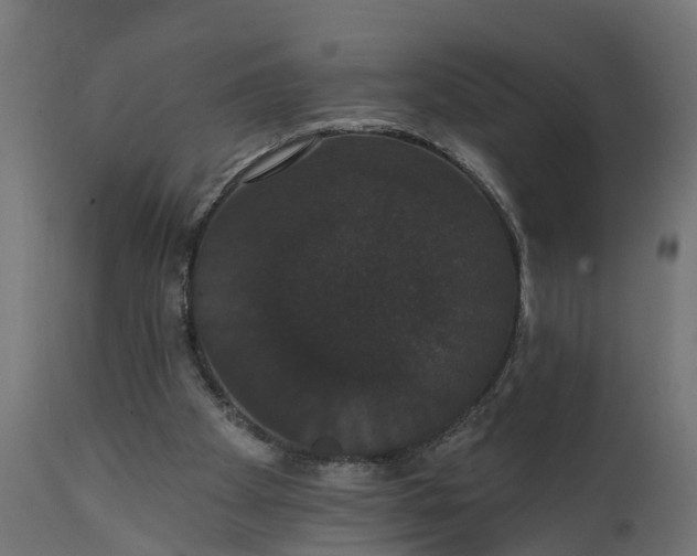 X0000111520105200907281348