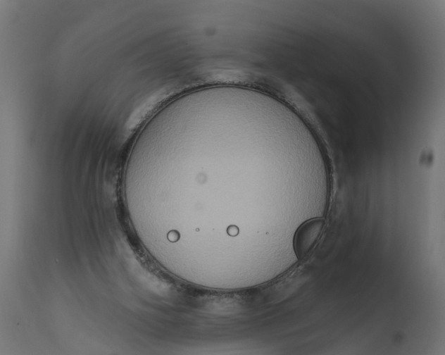 X0000111520106200907281348