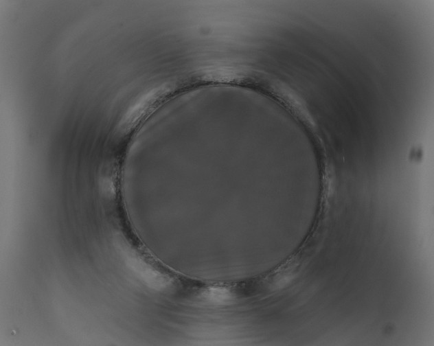 X0000111520114200907281348