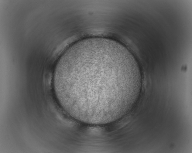 X0000111520115200907281348