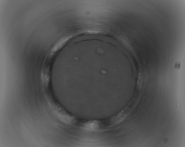 X0000111520116200907281348