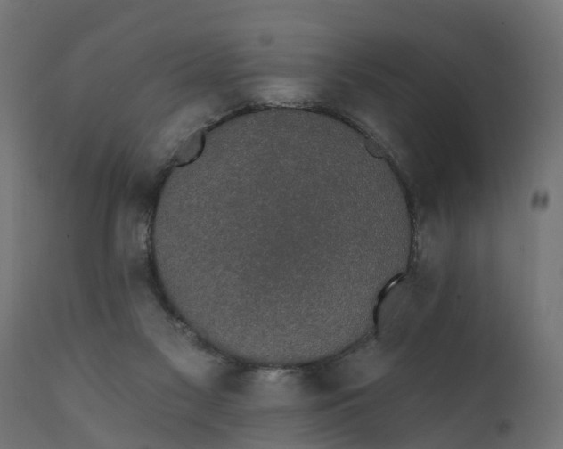 X0000111520117200907281348