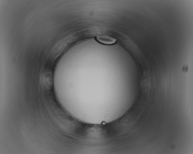 X0000111520119200907281348