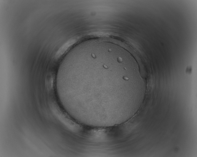X0000111520120200907281348