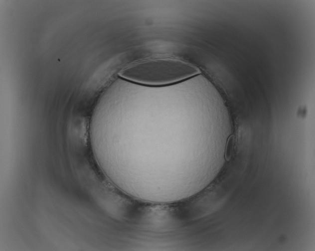 X0000111520121200907281348