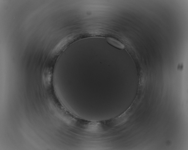 X0000111520124200907281348