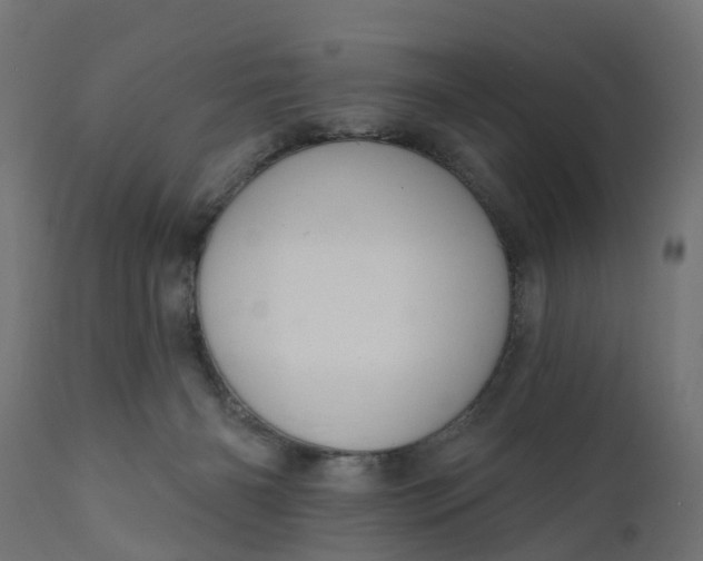 X0000111520126200907281348