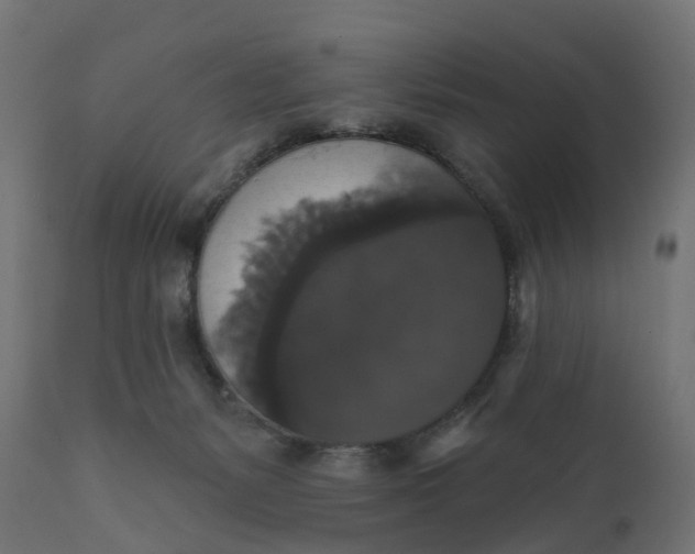 X0000111520127200907281348
