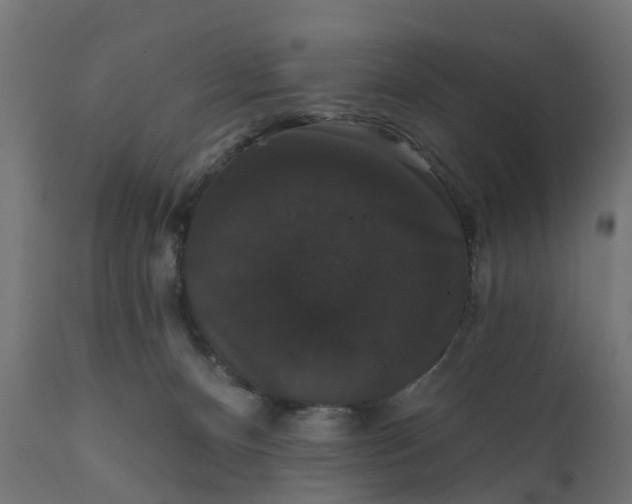 X0000111520128200907281348