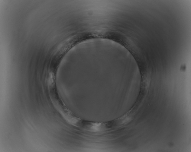 X0000111520130200907281348