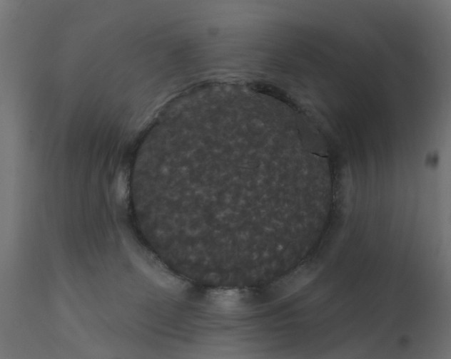 X0000111520131200907281348
