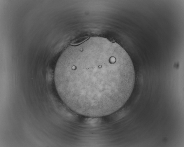 X0000111520135200907281348