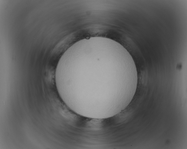 X0000111520138200907281348